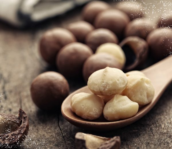 Dagelijks vers gebrande Macadamia's